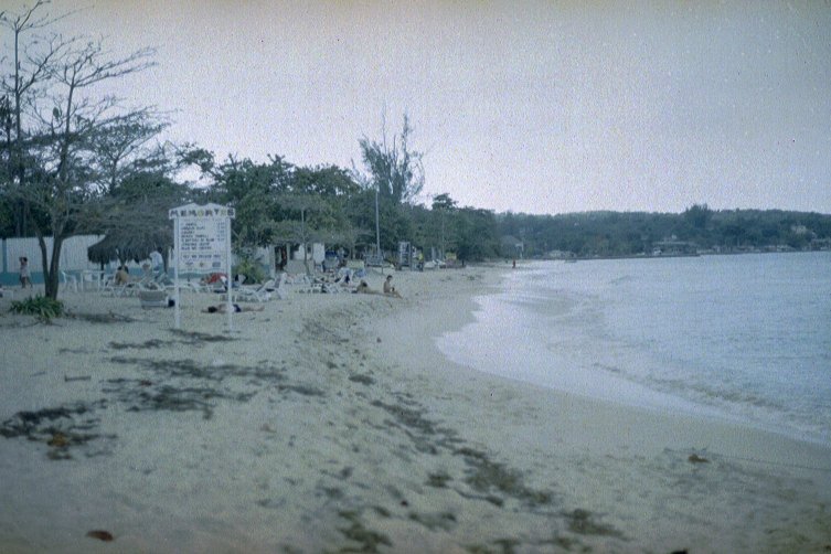 The Beach To The Left